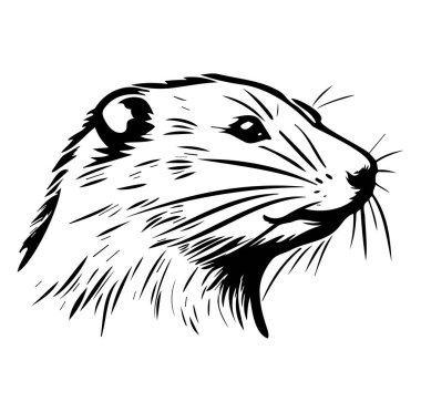 Vahşi Hayvanın Başı Profilinin Ayrıntılı Resimleri