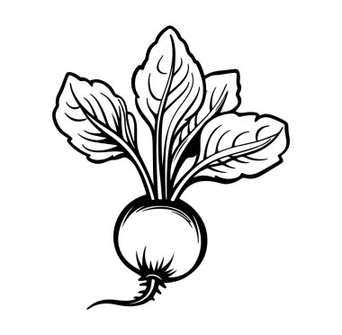 Siyah ve Beyaz Yapraklı El Çizimi Turp Çizimi