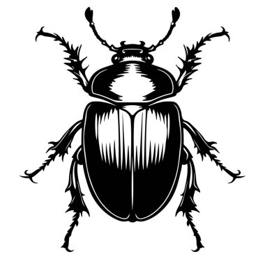 Ayrıntılı Bir Böceğin Siyah ve Beyaz Sanatsal İllüstrasyonu