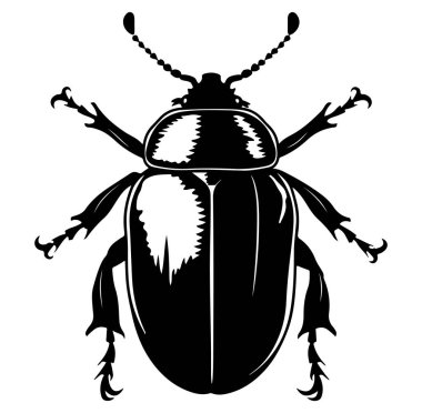 Ayrıntılı Böcek Resimlerinin Siyah ve Beyaz Çizimi