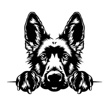 Büyük Kulaklı Siyah-Beyaz Köpek tasviri