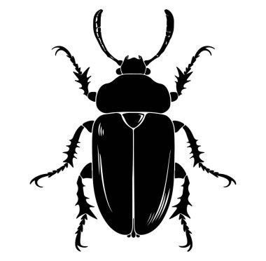 Karmaşık Antenleri ve Bacakları olan Siyah Böcek Silueti