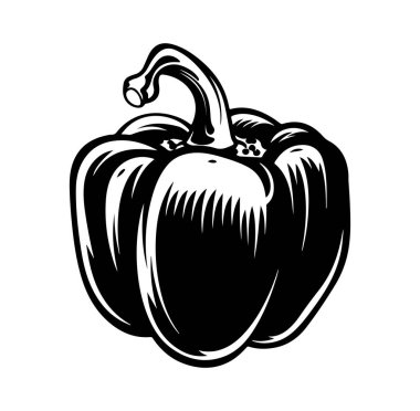 Taze Çan Biberinin Siyah ve Beyaz Çizimi