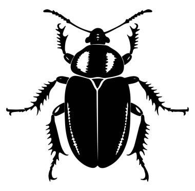 Ayrıntılı Böcek Çiziminin Siyah Silüeti