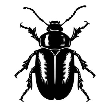 Bir Böcek Resim Sanatının Detaylı Siyah Silüeti