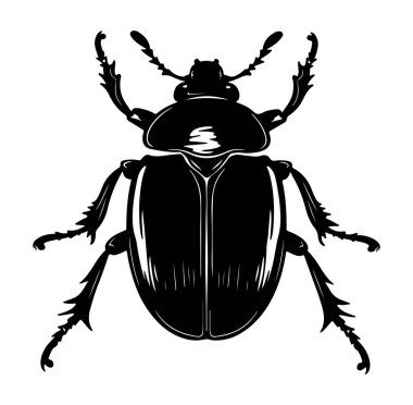 Vektör Tasarım Biçimli Bir Böceğin Siyah Silueti