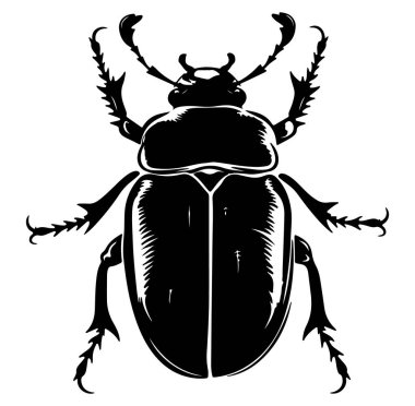 Tasarım Kullanımı için Beyaz Arkaplanda Siyah Böcek Silueti