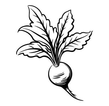 Siyah ve Beyaz Tasarımı Yapraklı El yapımı Turp