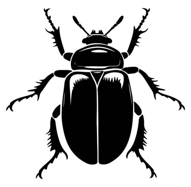 Karmaşık Desenli Siyah Böceğin Silüeti