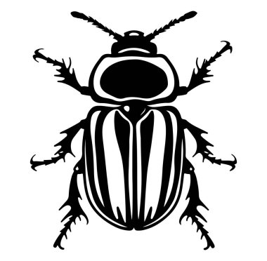 Siyah-Beyaz Soyut Böceğin Detaylı Resimleri