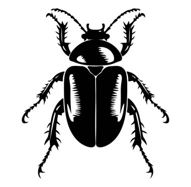Beyaz Arkaplanda Ayrıntılı Bir Böceğin Siyah Silüeti