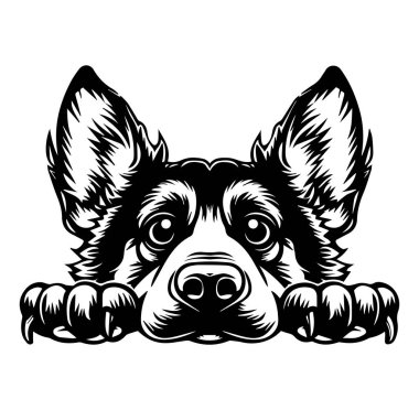 Sınırın Üzerinden Bakan Bir Köpeğin Siyah ve Beyaz Çizimi