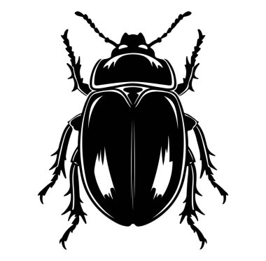 Beyaz Arkaplanda Karmaşık Siyah Böcek Silueti