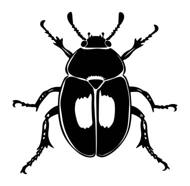 Beyaz Arkaplanda Ayrıntılı Bir Böceğin Siyah Silüeti