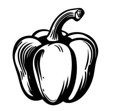 Beyaz Arkaplanda El Çizimi Çan Biberi Çizimi