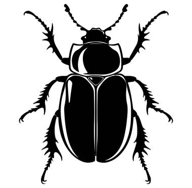 Siyah ve Beyaz Böcek Tasarımı