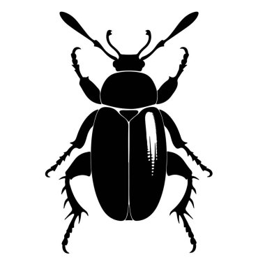 Ayrıntılı Özellikleri ve Anatomisi Olan Siyah Böcek Silüeti