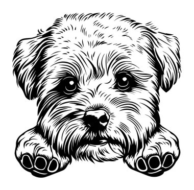 Siyah ve Beyaz Biçimli Şirin Köpek Yüzlü Görüntü