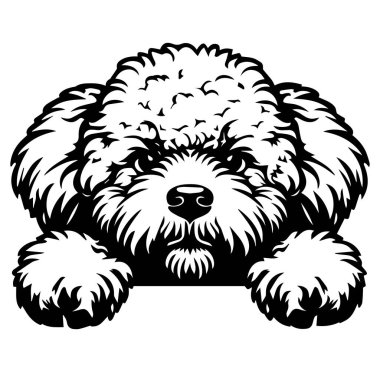 Neşeli Çizgi Film Köpeği Kabarık Kürk ve Neşeli İfade