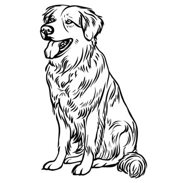 Rahat bir konumda oturan Oyuncu Köpek Çizimi