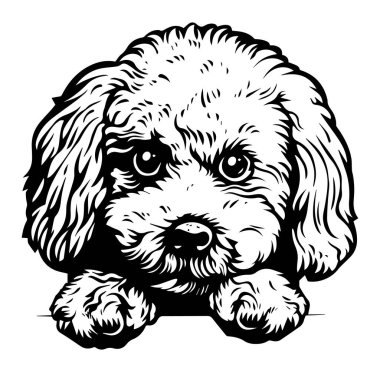 Şirin Çizgi Film Tarzı Büyük Gözlü ve Kürklü Resimli Köpek