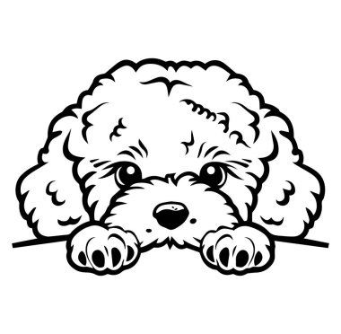 Koca Gözlü Şirin Çizgi Film Köpeği Yüzeyden Bakıyor