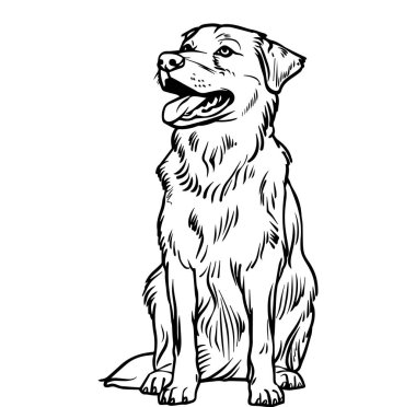 Siyah-beyaz olarak mutlu köpek çizimleri