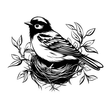 Ayrıntılı Yaprak ve Dallarla Kuş Yuvası İllüstrasyonu