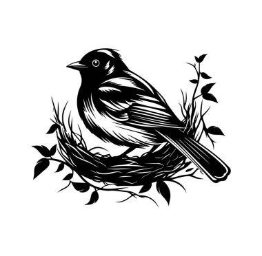 Yaprak ve Dalları Olan Siyah ve Beyaz Kuş Yuvada