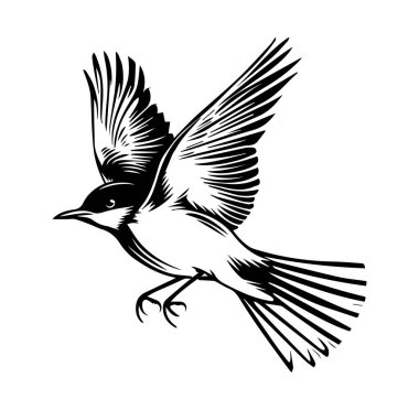 Uçuşun Zarif Kuşu Minimalist Siyah Tasarım 'da Yakalandı