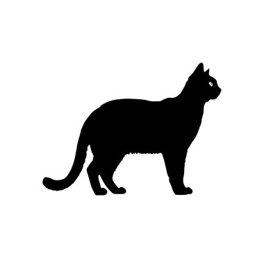 Beyaz Arkaplan Karşısında Siyah Kedi Görüntü Profili