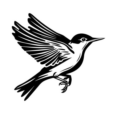 Genişletilmiş Kanatları ve Ayrıntılı Silueti Olan Uçan Kuş