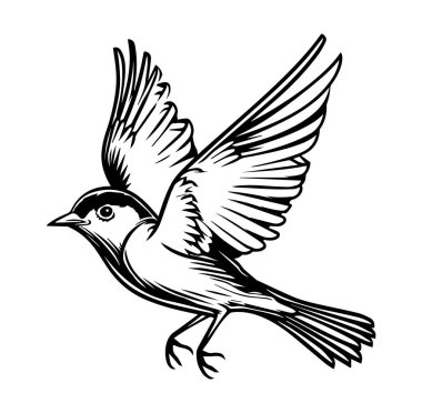 Ayrıntılı Kanatlarla Uçuş Çiziminde Zarif Kuş