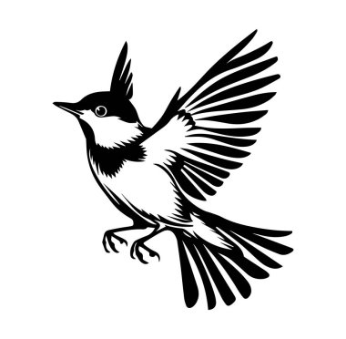 Genişletilmiş Kanat ve Kuyrukla Uçan Siyah ve Beyaz Kuş