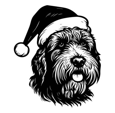 Siyah ve Beyaz Noel Baba Şapkası Giyen Köpek Fotoğrafı