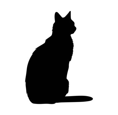Beyaz Arkaplan Karşısında Bir Kedinin Silueti