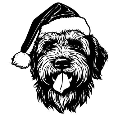 Neşeli İfadesiyle Noel Şapkalı Şirin Köpek