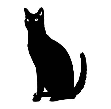 Bir Kara Kedinin Silueti Zarifçe Oturuyor ve Uyanık