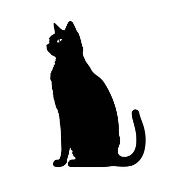 Bir Düz Arkaplan Karşısında Profil Görünümündeki Bir Kedinin Silueti