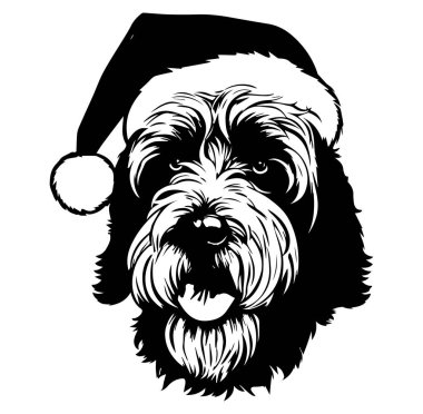 Tatil kutlamaları için Noel Baba Şapkası Giyen Sevimli Köpek