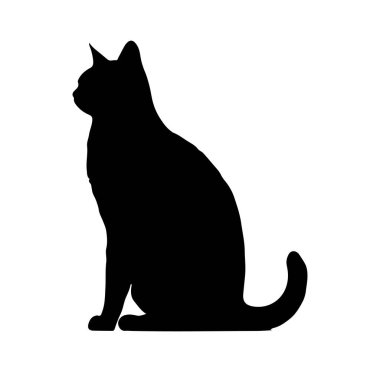 Zarif Duruşu Olan Bir Kedinin Görünüşü