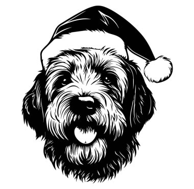 Noel 'de Noel Baba Şapkası Giyen Mutlu Köpek Kutlaması