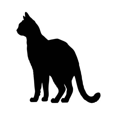 Beyazlara Karşı Bir Kedinin Siyah Silueti