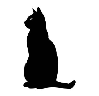 Beyaz Arkaplanda Profil Görünümündeki Bir Kedinin Zarif Silueti