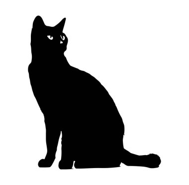 Beyaz Arkaplanda Zarifçe Oturan Bir Kedinin Silueti