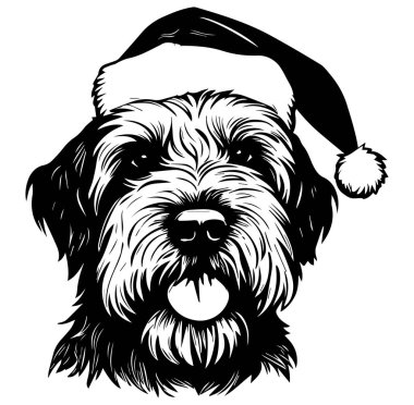 Tatil kutlamaları için Noel Baba Şapkası Giyen Büyüleyici Köpek