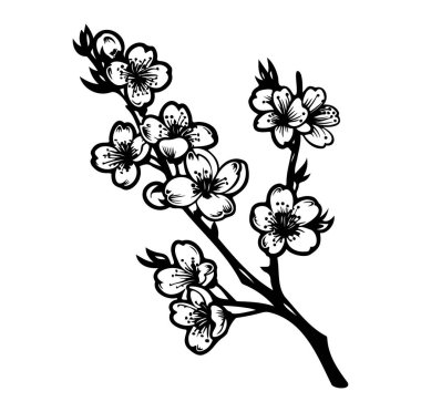 Sanatsal Siyah ve Beyaz Tasarım dalında Kiraz Çiçeği Dalı