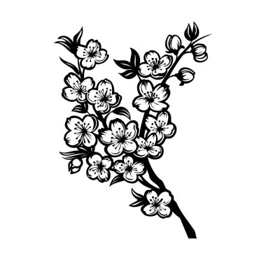 Ayrıntılı Siyah ve Beyaz Kiraz Çiçeği Çiçeği Tasarımı