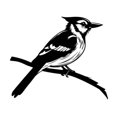 Daldaki Bir Kuşun Siyah ve Beyaz İllüstrasyonu