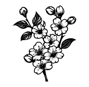 Kiraz Çiçeği dalının Siyah ve Beyaz Çiçek İllüstrasyonu